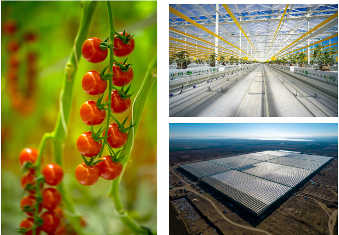 1737339236920.png 微信图片_20250120100100.png