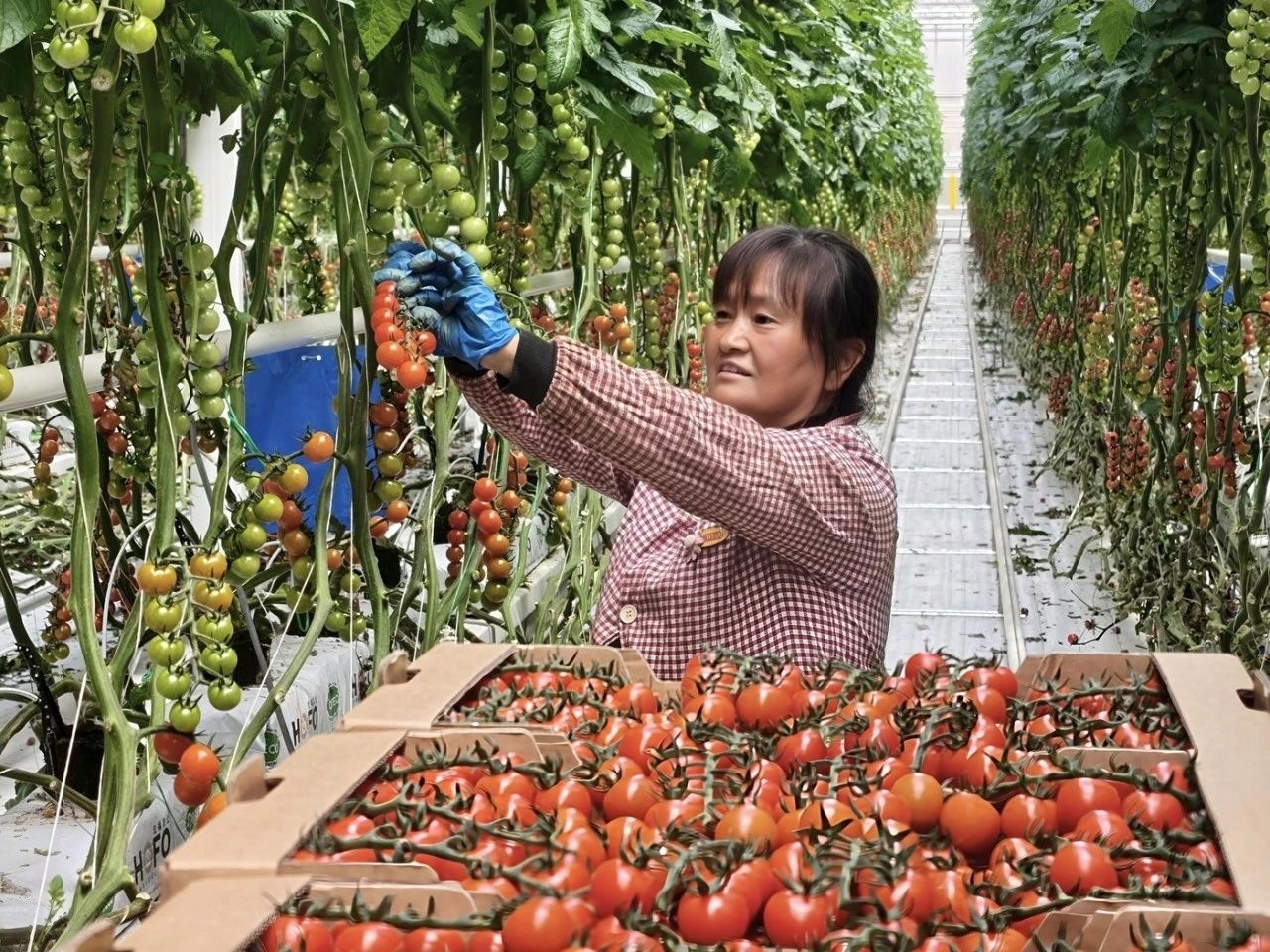 微信图片_20250605095738.jpg