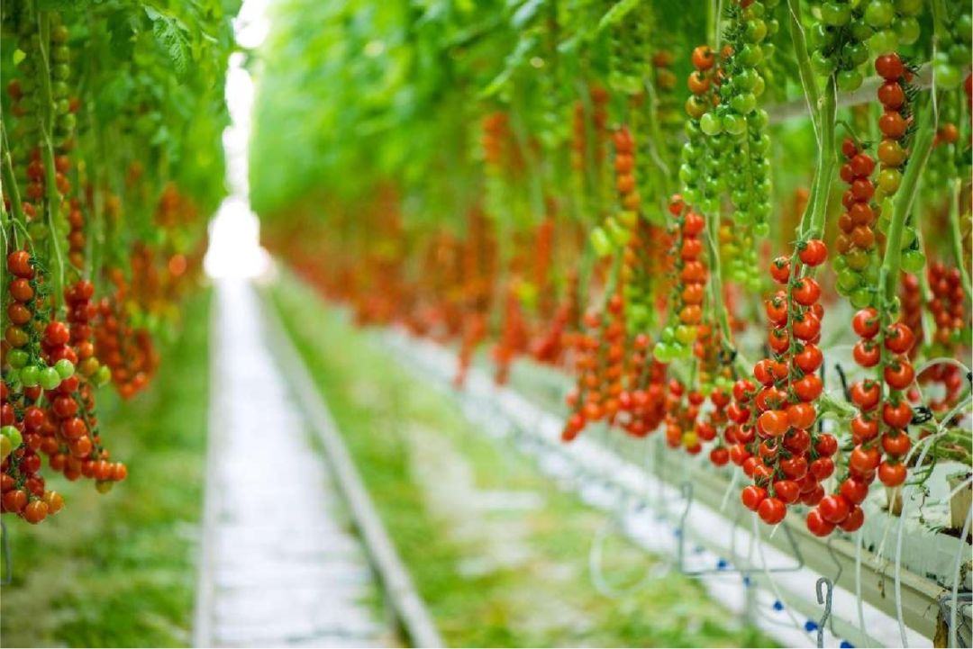 1764830869765.png 640.png