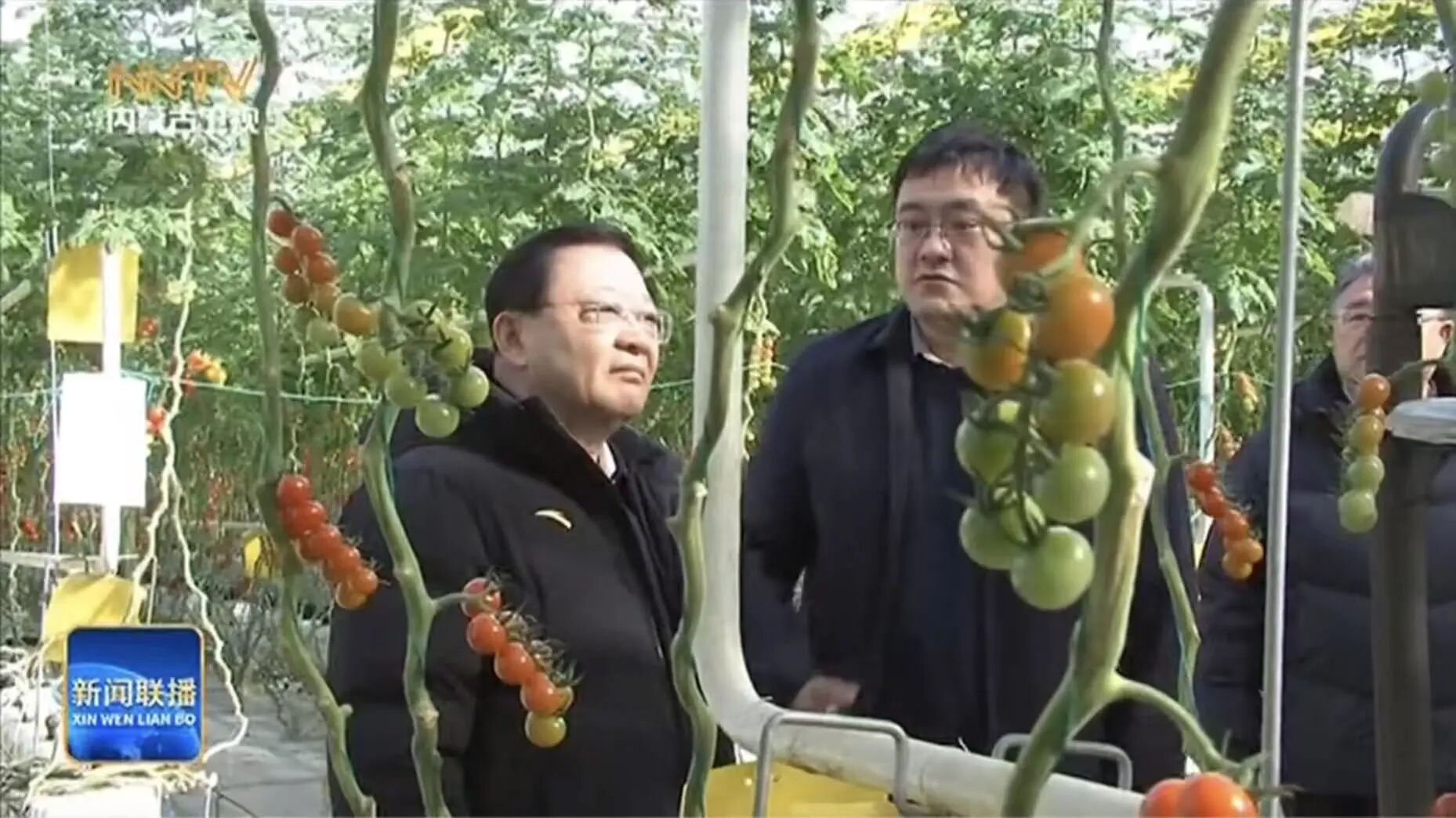 1770884900874.jpg 微信图片_2026-02-12_162752_763.jpg