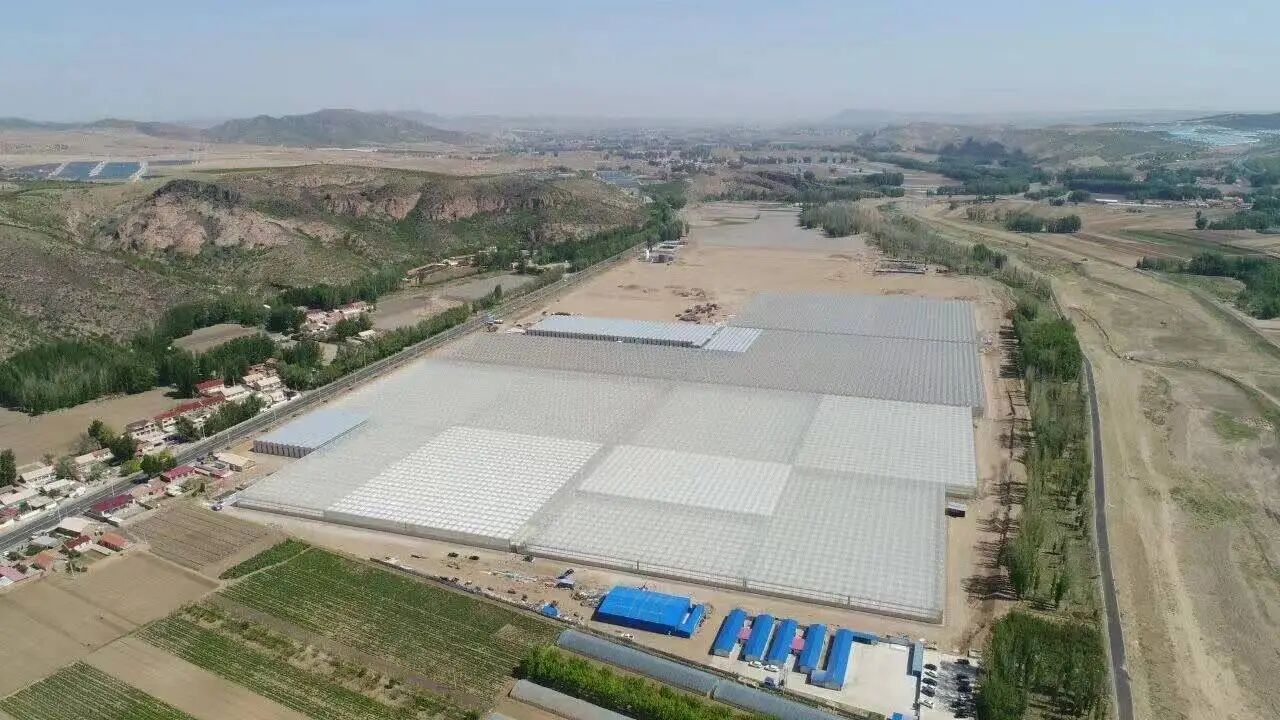 1770885139042.jpg 微信图片_2026-02-12_163211_456.jpg