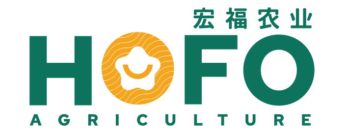 1770885267157.png 微信图片_2026-02-12_163418_345.png