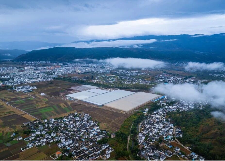 1772245582595.jpg 微信图片_2026-02-28_092724_508.jpg