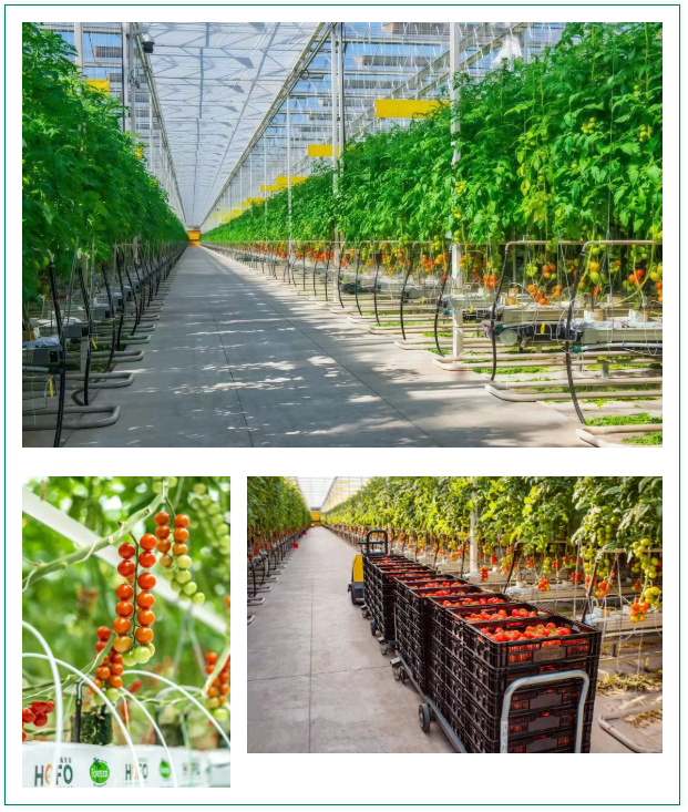 1773824400425.png 1773824400425.png