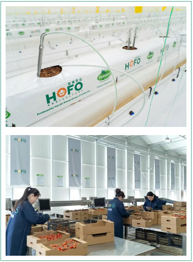 1773824785678.png 微信图片_20260318155920_1480_2.png