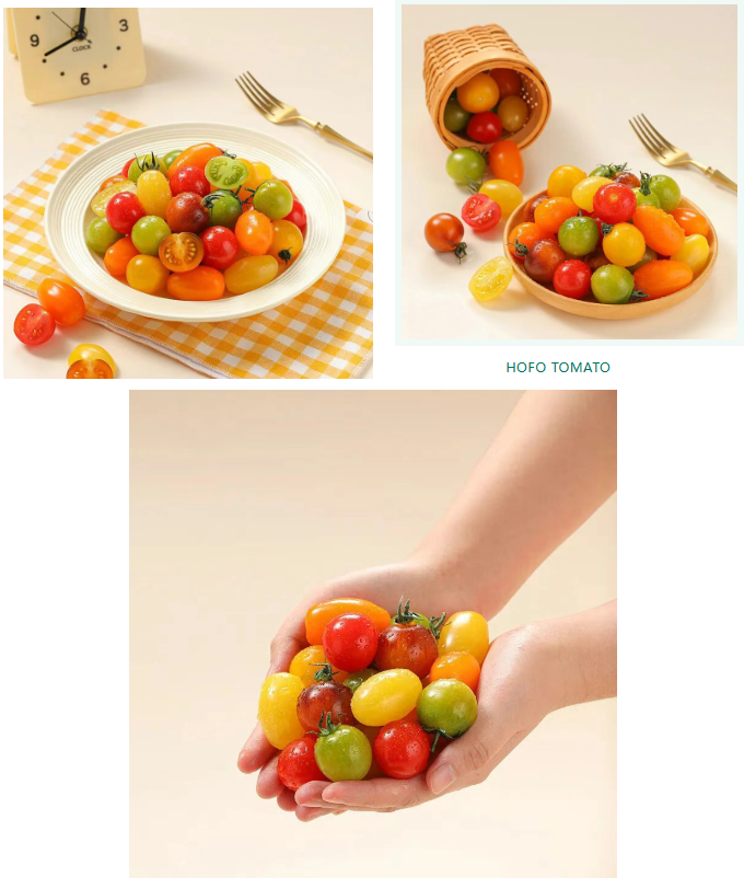 1773824822906.png 微信图片_20260318155949_1481_2.png